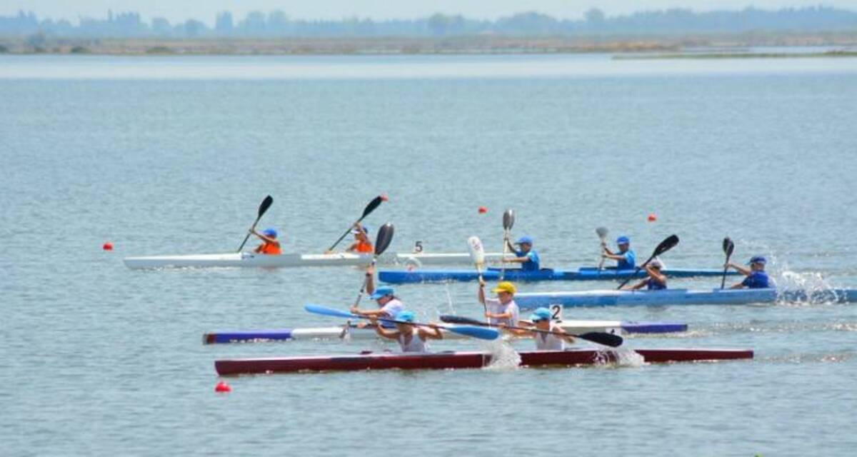 ΚΟΠΗΛΑΣΙΑ ΚΑΓΙΑΚ ΒΑΡΚΑΔΑ