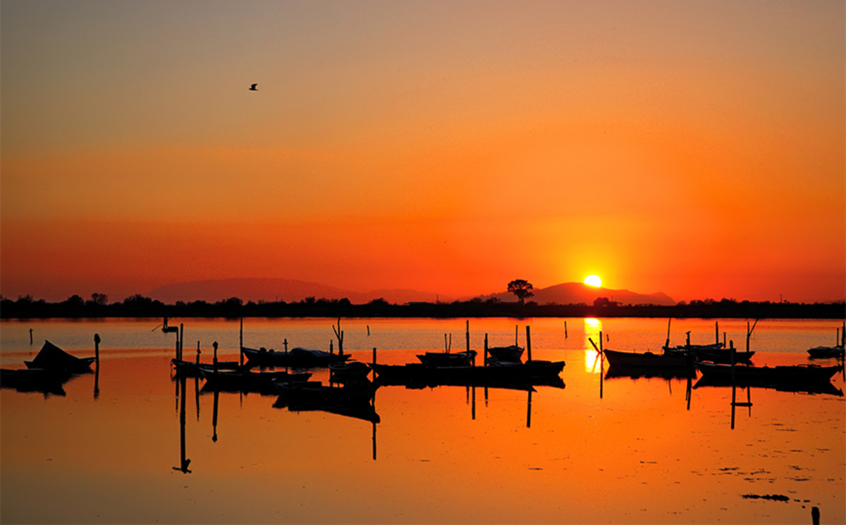 ΜΕΣΟΛΟΓΓΙΤΙΚΟ ΗΛΙΟΒΑΣΙΛΕΜΑ