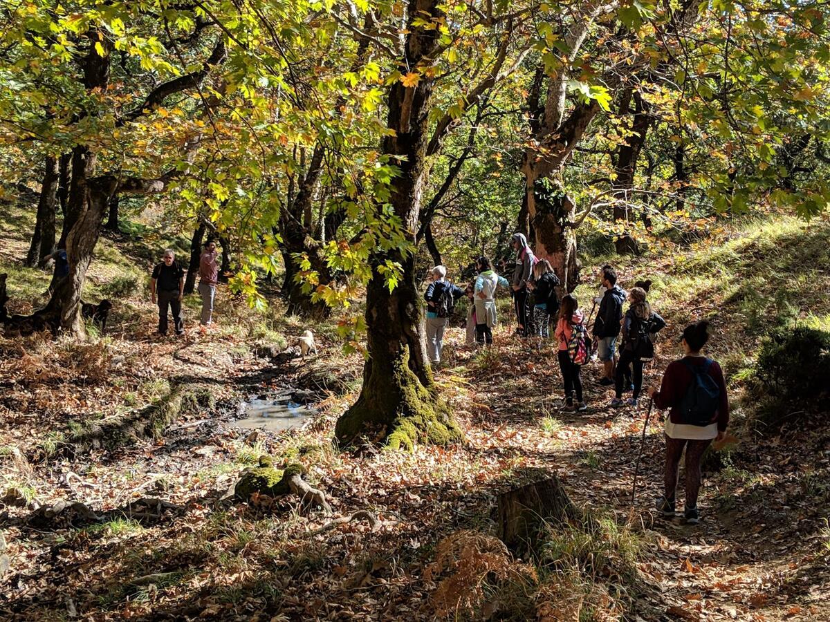 ΠΕΖΟΠΟΡΙΑ ΑΡΑΚΥΝΘΟΣ